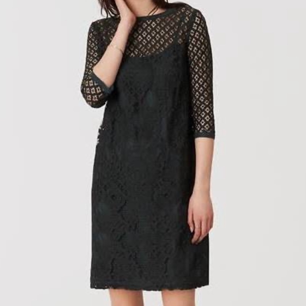 🤩NEW LOFT Diamond Lace Shift🤩